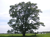 s_PICT0560_thumb.png